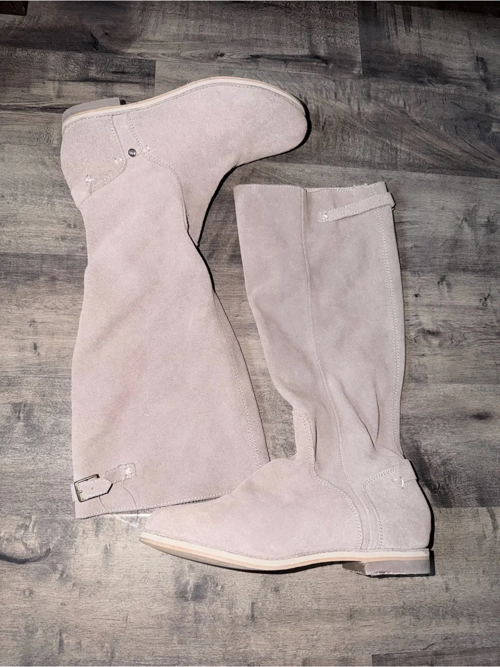 NWT Reef High Desert Suede Boots in Taupe